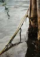 2019-05-11/7b007b5af97787153674250895bb47dd_dd980f3f93c9ce78c8c18670af39281d