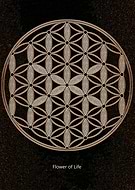 2019-05-12/0fb509ca3047a72b2af25104eec8701d_21fbb2d83c86de8f8befe9e6df28bd22