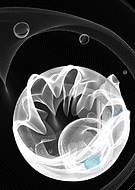 2019-05-12/48d8e051ff213a7f5e3f0ee707d55226_26289e3967282c46951af8dc9dacb2e8