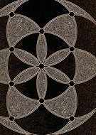 2019-05-12/9ffba52674062a3252f5b339ad936883_9ac4b5955eaa1d1e0a1eb99deb472e8b