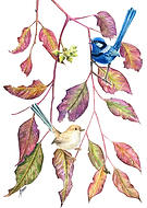 2019-05-12/ccb4fc89d95d170d95b9536e14a53593_86dfeb71dec87e263f1eec06e1206276