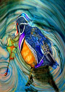 2019-05-13/109e44a934d5da3567f013215f39447b_b740f678a3aefe93deef2a3667e612be