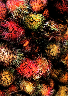 2019-05-13/7226fe72c811a485733a8fce8b30db47_0bd77a2d04631e2ab377d0eaade5b6e0