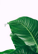 2019-05-13/903a3b3c15be781053c2444f5e34b614_6948b1fde082d5a332cf635fa4dc5311