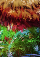 2019-05-13/9de6a4e3afbdc5a9a02cb082a89c5179_3267d14b5b702b60f9333c2d42302ee9