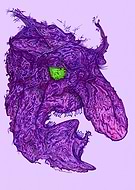 2019-05-15/25a09a528c778a9f57bde3a57b4f24db_b561ffb04c10f751880a253603c4c25d