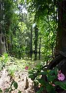 2019-05-15/5ce2c5f336bda81487794b599b7e85cd_247d78450936c96eebbc863898332e24