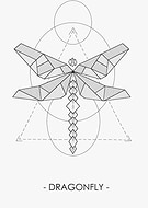 2019-05-16/456b03a7527ff9e9a81a687b44aac1bb_322cb61c412d656b6db508fcb852d317