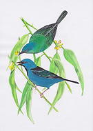 2019-05-16/52b1e9670f50b2e314a87daf6b61c1e8_a5e20f5c9dbc68b2e7e8e85eea6d06d9