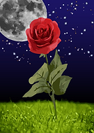 2019-05-16/53bf3f0868fe38b023741538bc885806_a1a98fc73316fe2abe328dcde0143068