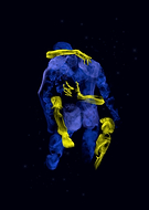 2019-05-16/66498e0b00578e9a7285330b5dfc640c_cc27eb97c61b930f9505c9cf702f543e