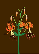 2019-05-16/b096a7db018397e73845717315aeafd1_1ddb6bba9999a8cd57b12f11af614a02