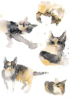 2019-05-16/bdf0c6cd5630ce339b6c64014b4edd9c_e35085add00619a7efbf809d8afdfa87