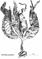 2019-05-16/e453f3f8cfa6606e67b75e1931cfb683_88896512942e878e53b424e2292d77a0