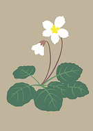 2019-05-16/f56652470ff1c8f4330568ac16b5919a_d6c1896ce7b15839b3dd0bee33376aa9