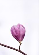 2019-05-17/b07189e0a9528b7d764030efc209652c_d90aa11e121ee18b82f8617b0335df5a