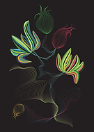 2019-05-18/409efa1ad2c9c4a63e337c271c2991dd_2eb7db21f91e28d0dd99c687b4614160