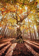 2019-05-18/7d954320f36e0c9e54647826eb0c6979_e58292b1bcf7086528089a9d29a2559f