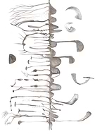 2019-05-18/e41782031d211c7a8be401750b66185a_f332a1ec95890e350d50ab89ec4b1cc5