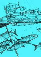 2019-05-19/370acaf514dd956c28a73d3997704b90_a07184314dc12793bd6cc494d0d4f15a