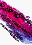 2019-05-20/c3bd4fceddece7c0efcfcd1b76e2e0e3_854fe5e9af26dd23682c78782178d3f0