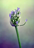 2019-05-20/e9f3193d908152c0312184ddc5bd1383_a700bf2c26df0f90653fa8c71ddd75ee