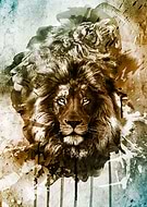 2019-05-22/48abeae6df7d041bfed30afde9af8a32_0b4a57f9e23d0d2be52ead59b9e901dc