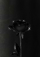 2019-05-22/55e55589d23492fe70c6653cb10a36e0_05f9f1c67a29eae3d8b616058c45af98