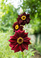 2019-05-22/ac6543e19e7d2bdcdcbde758b5894f3d_98b31016502b3b18fc8bd8c1b80043e6