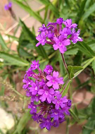 2019-05-23/2d64e3363b782fd5474c7dac79f75ea9_2d5f3890c75f8916b311e0d2c95224b6