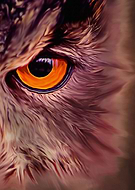 2019-05-23/8b8f7ada8f5836271cd0864f6da0e5ac_fe34697fc43a714fe79d8d53c0315841