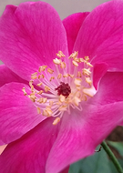 2019-05-23/939202a718c74744cd3fa675ffcca493_cf8fa5c6f6cc6cf1741a3cdd6ee800f4