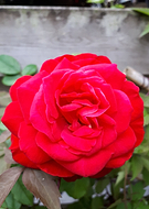 2019-05-23/e7e85018933a89dfa632f5ce5e447ac7_6060bf98d6f55f8efb56065c9415a055