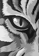 2019-05-25/1d48b47a780ee2dc0d9907181a5a977f_82b0730da82b1f4abf50fdf66c3e28f7