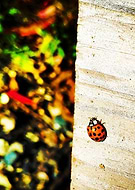 2019-05-25/49c870ab91b9d3d96310942b7947767f_3aa6c195fd29cf651534a7d4be3f5258