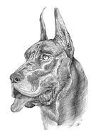 2019-05-25/5fbe7c51ea26c43afbf484dd9893b9fa_bb1505a2e4afb0291b2477978bba3742