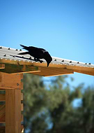 2019-05-26/14673f5f67769df6175436710ccc73ad_f996772d8dcf6e5241c9c03ccc7964ae