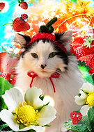 2019-05-26/9a3c64d431bd6d073d2316c4b254ac12_d1c792ce4963180c0a9e65c7e1d49e5f