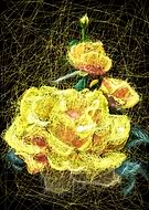 2019-05-28/33faa81549378318054a479e148f1465_d020996c7691dfce32f2e9920cf28eed