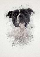 2019-05-28/3a4dfcb2b5ff0de90ca114f3cecf1e8c_2697d7753f1f2df38d319cdccbb67130