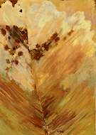 2019-05-28/5055112c26f588bf113e28c3b54baa02_8283843772233280e793287d9ea2741d