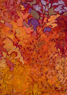 2019-05-28/bc79f58a9f8a14cc7faec6e72dcdeb7b_183fd94107f9c907ecfe3fcc839c06c0