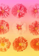 2019-05-30/2399e1e1b0787eaebd9019ab4397514d_e3350c8f3ab47c89fbb8c8ce1cbf4e3c