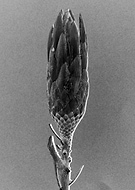 2019-05-30/91c597731be397b978bbac29ae82dc43_73059ea5eb349a516c2e9d35d282b996