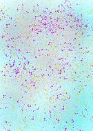 2019-06-01/25ae7ccc33fff1b170afc850f9326b4b_fe0b05f0344a8c30039b6cf896e332f0