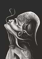 2019-06-04/05d283773643c5864f021b1a3e7cc8ef_1b30238f87111dc748b7bebb20e0ca9e