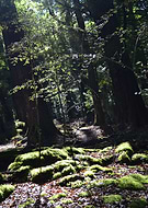 2019-06-04/4024aa64885911606c2b123603154a56_fadd0e5712844cb800788ccc41d2ac1b