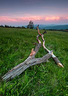 2019-06-04/522c351e1a545a34a8d5a23de913940a_ae209a2238f0658a6245f66e285888c0