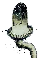 2019-06-05/24c47fc11d4a41626fb99d5b60541ebe_b1391be89fc39ba2b0d7430e510ff21f