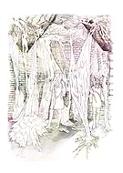 2019-06-05/5a0db591a476179d4e7a542df5795857_b64b96bdec6c85ea340f83a4f17149d5